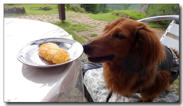 20140802202133.JPG