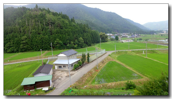 20140807052437.JPG