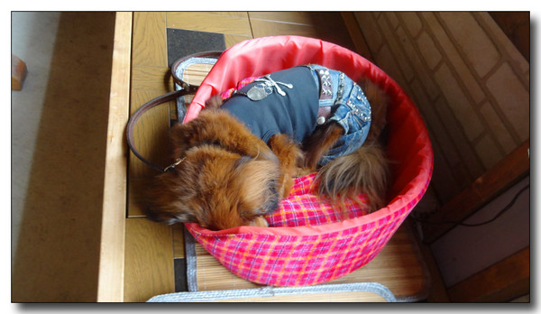 20140810175221.JPG