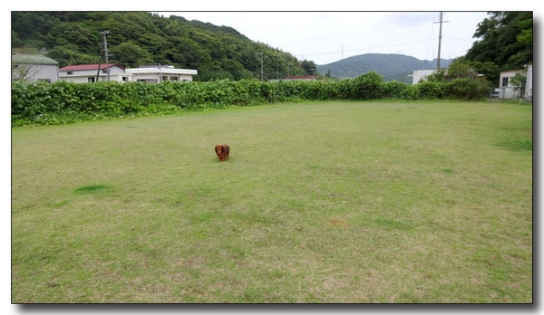 20140813233523.jpg 20140813233523.jpg