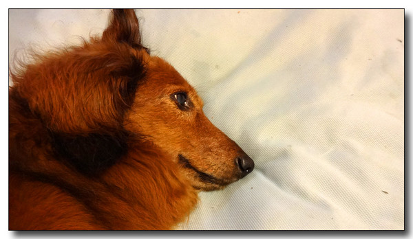 20140819200446.JPG