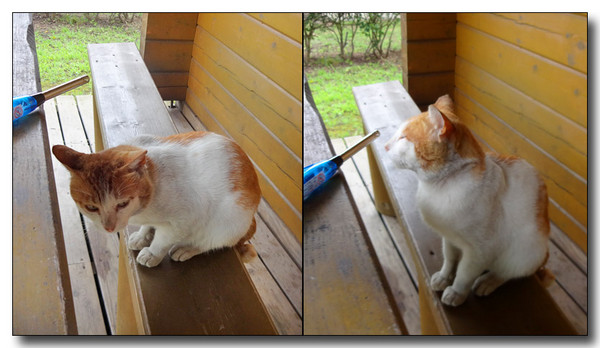 20140819201237.JPG