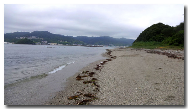 20140819201240.JPG