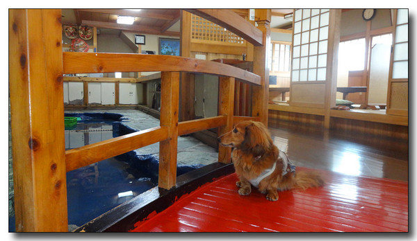 20140822020453.JPG