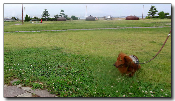 20140823052559.JPG
