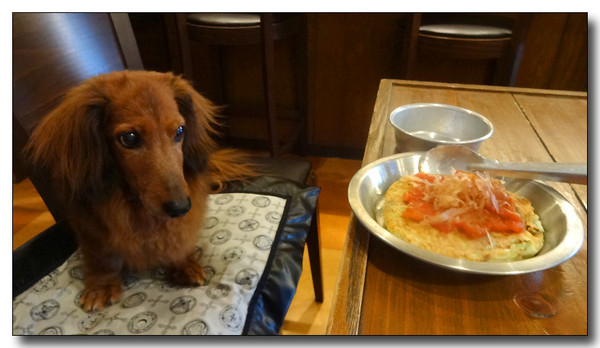 20140823235017.JPG