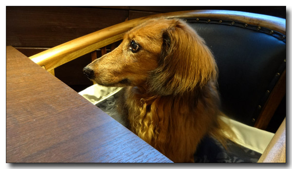 20140824175541.JPG