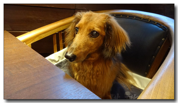 20140824175542.JPG
