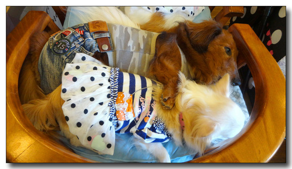20140826100810.JPG