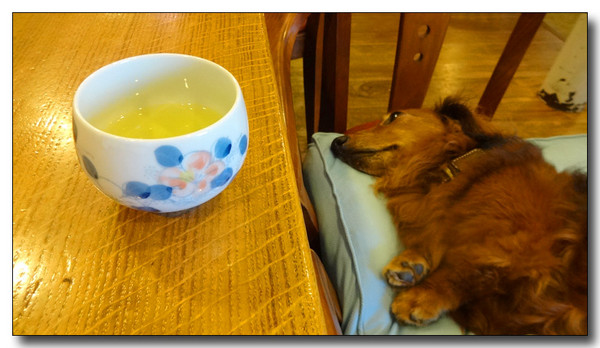20140827232458.JPG
