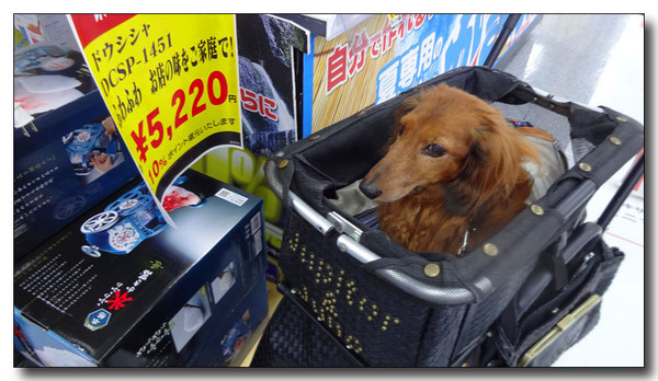 20140831001247.JPG