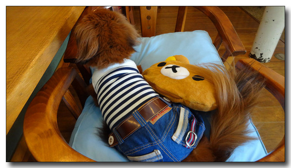 20140901085029.JPG