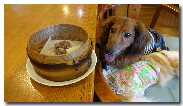 20140901085315.JPG