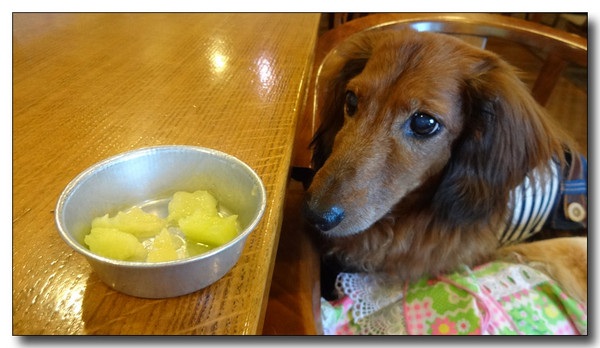 20140901085335.JPG