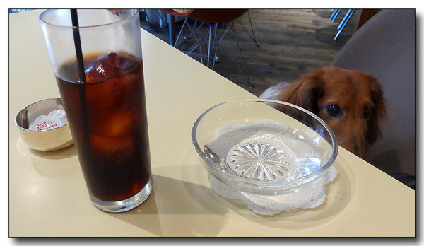 20140901120321.JPG