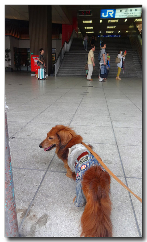 20140901173341.JPG