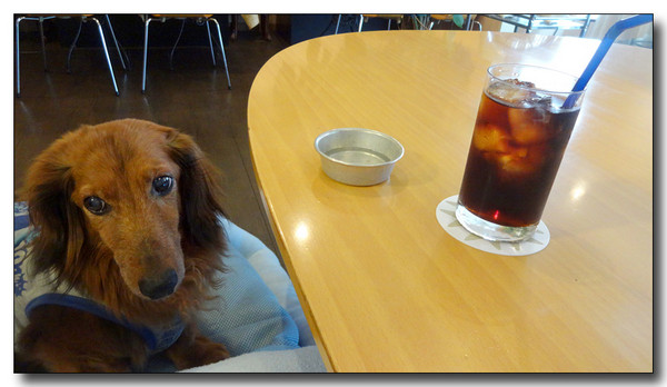 20140902070321.JPG