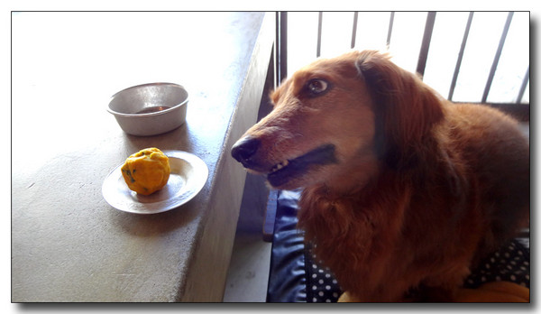 20140903201450.JPG