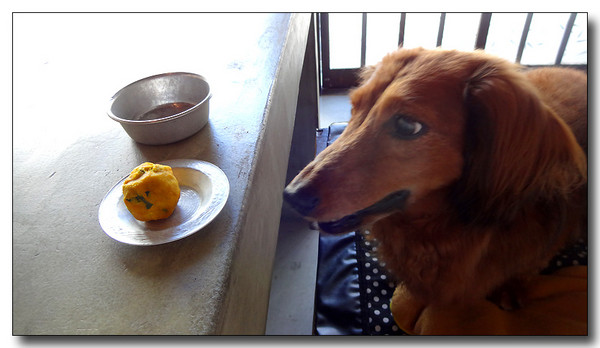 20140903201451.JPG