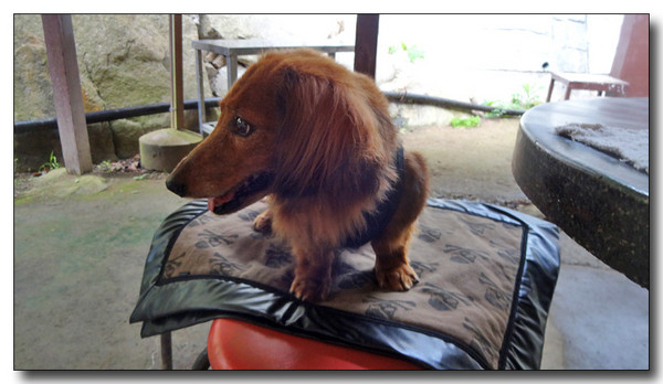 20140904000353.JPG