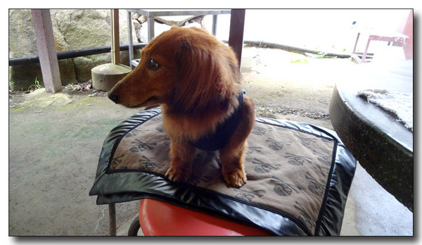 20140904000427.JPG
