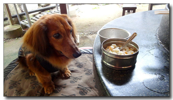 20140904000525.JPG