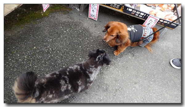 20140904001540.JPG