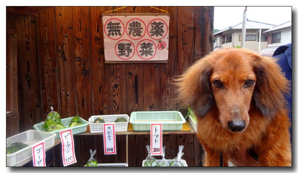 20140904001541.JPG