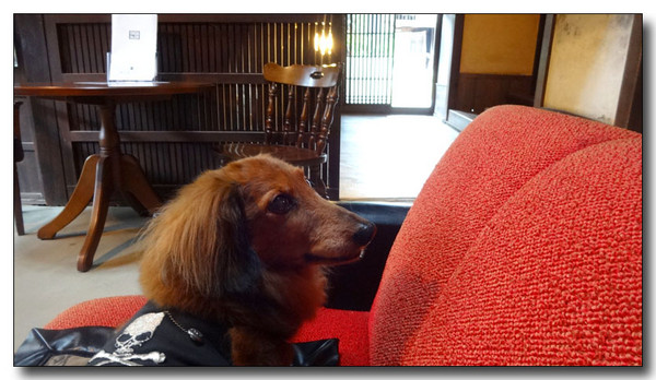 20140905111318.JPG