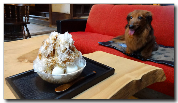 20140905111349.JPG