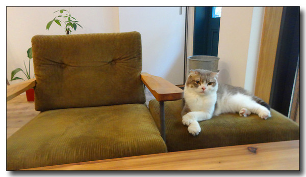 20140905135845.JPG