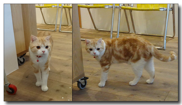 20140905135846.jpg