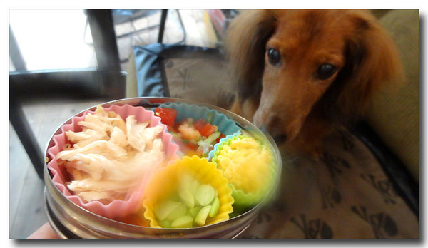20140905135913.JPG