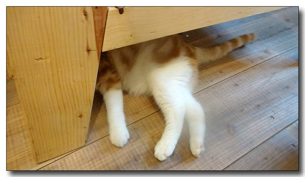 20140905140022.JPG