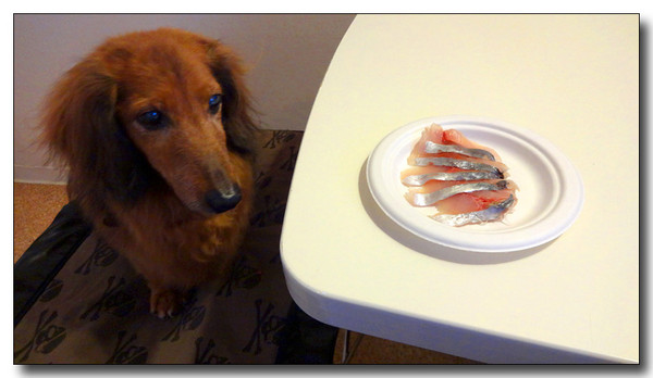 20140907101607.JPG
