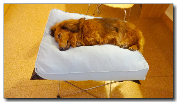 20140907101608.JPG