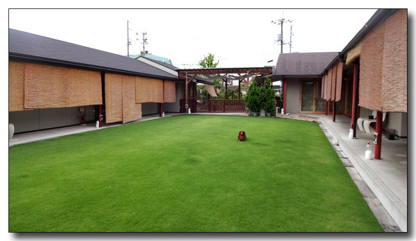 20140908054138.JPG