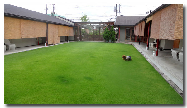 20140913060931.JPG