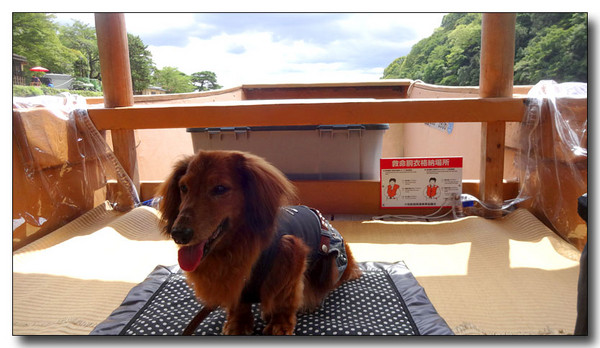 20140914183801.JPG