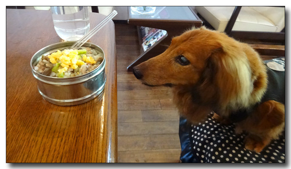 20140915012531.JPG