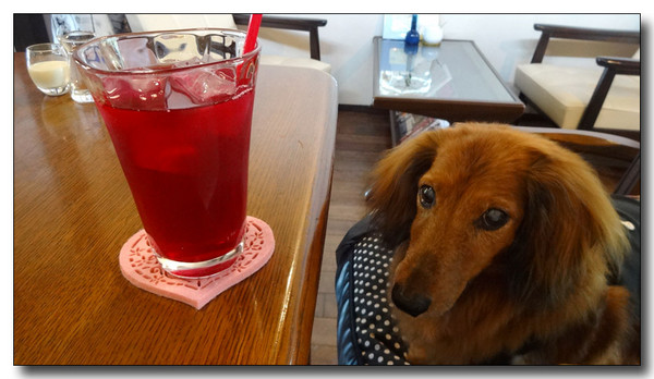20140915012611.JPG