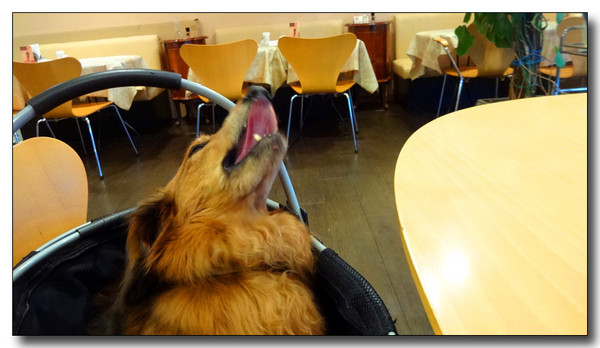 20140918075042.JPG