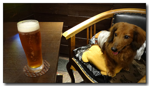 20140920060540.JPG