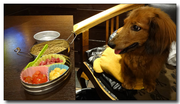 20140920060612.JPG
