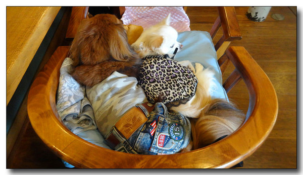 20140920080846.JPG