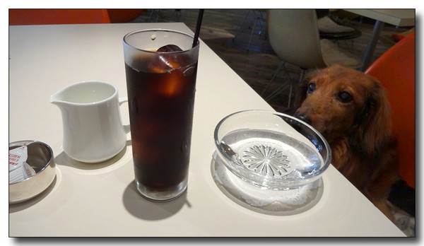20140920191500.JPG