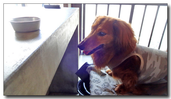 20140920200740.JPG