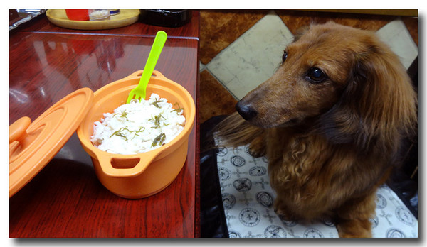 20140920202923.JPG