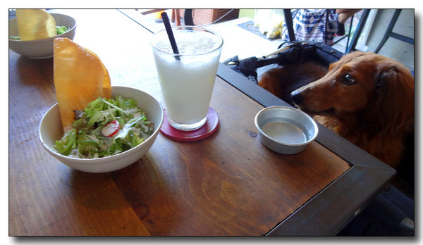 20140924085820.JPG