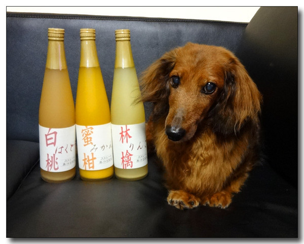 20140924094421.JPG